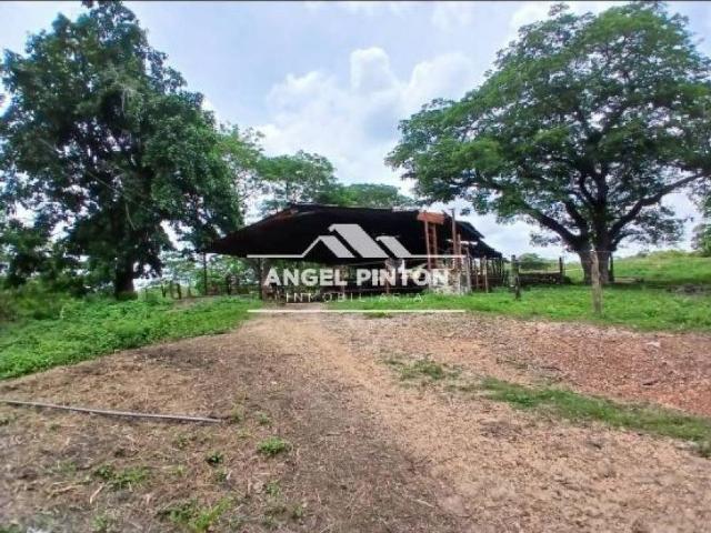 Terreno en venta en Machiques De Perijá, Zulia