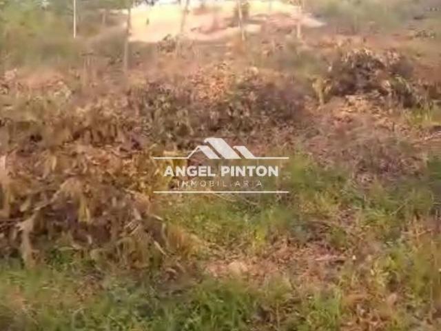 Terreno en venta en Machiques De Perijá, Zulia