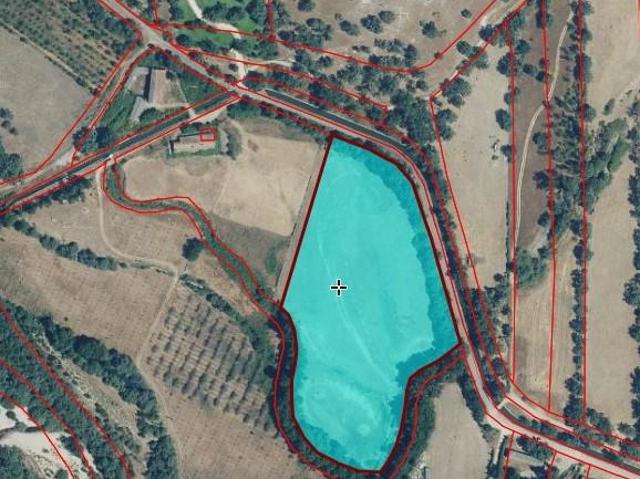 Finca en venta en Madrigal De La Vera, Extremadura