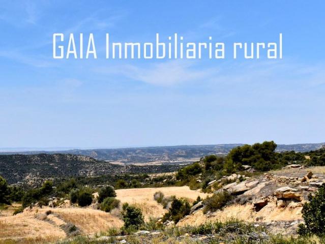 Finca en venta en Bajo Aragón-Caspe / Baix Aragó-Casp, Aragón