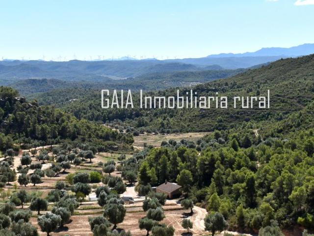 Finca en venta en Bajo Aragón-Caspe / Baix Aragó-Casp, Aragón