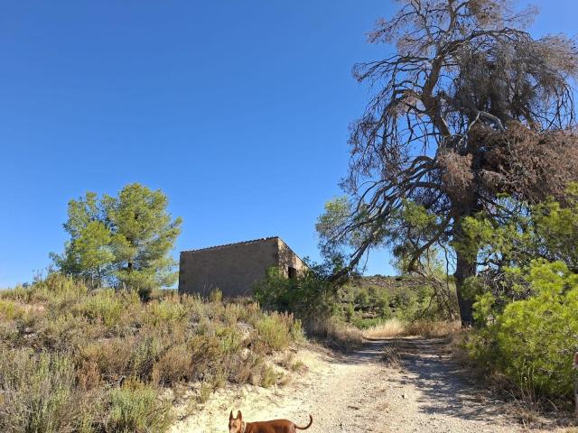 Finca en venta en Bajo Aragón-Caspe / Baix Aragó-Casp, Aragón