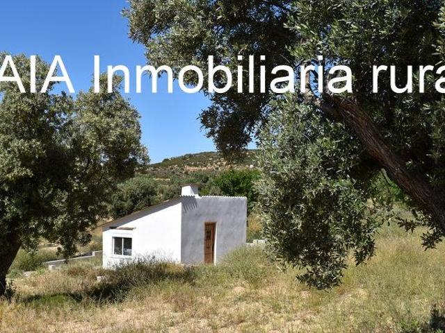 Finca en venta en Bajo Aragón-Caspe / Baix Aragó-Casp, Aragón