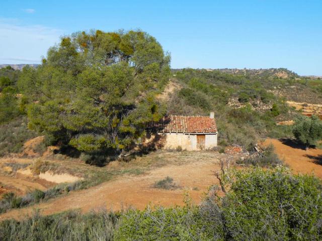 Finca en venta en Bajo Aragón-Caspe / Baix Aragó-Casp, Aragón