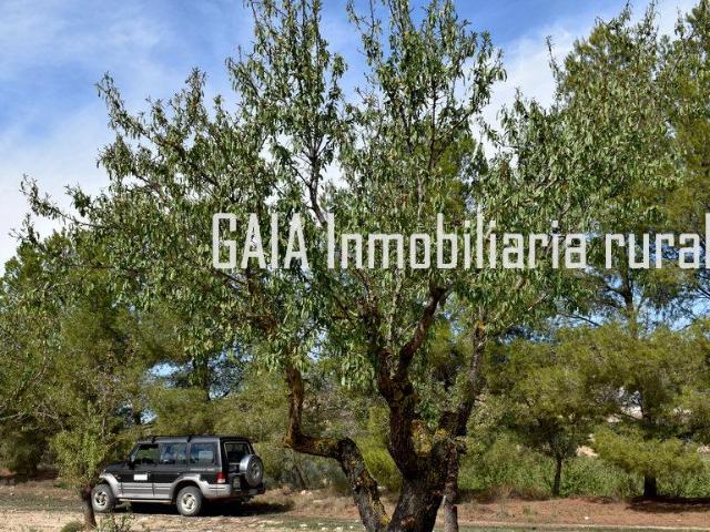 Finca en venta en Bajo Aragón-Caspe / Baix Aragó-Casp, Aragón