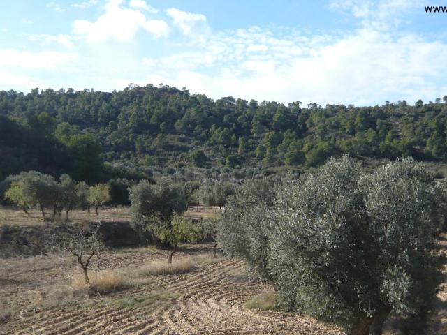 Finca en venta en Bajo Aragón-Caspe / Baix Aragó-Casp, Aragón