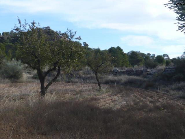 Finca en venta en Bajo Aragón-Caspe / Baix Aragó-Casp, Aragón