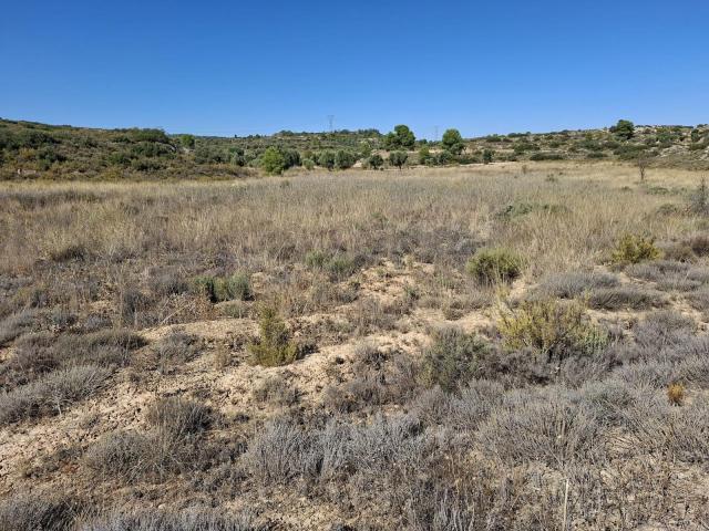 Finca en venta en Bajo Aragón-Caspe / Baix Aragó-Casp, Aragón