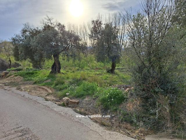 Finca en venta en Bajo Aragón-Caspe / Baix Aragó-Casp, Aragón