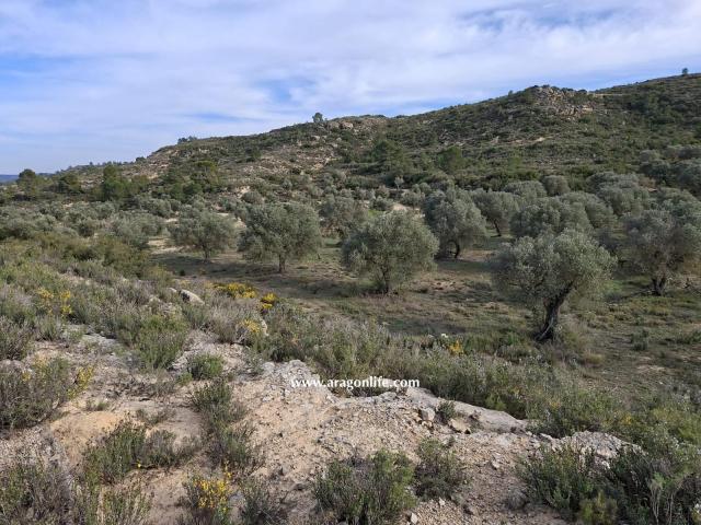 Finca en venta en Bajo Aragón-Caspe / Baix Aragó-Casp, Aragón