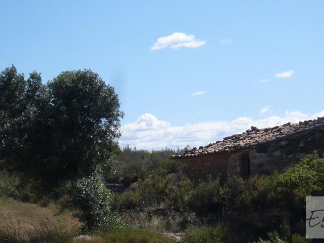 Finca en venta en Bajo Aragón-Caspe / Baix Aragó-Casp, Aragón