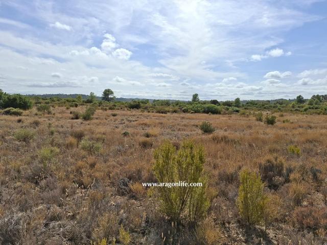 Finca en venta en Bajo Aragón-Caspe / Baix Aragó-Casp, Aragón