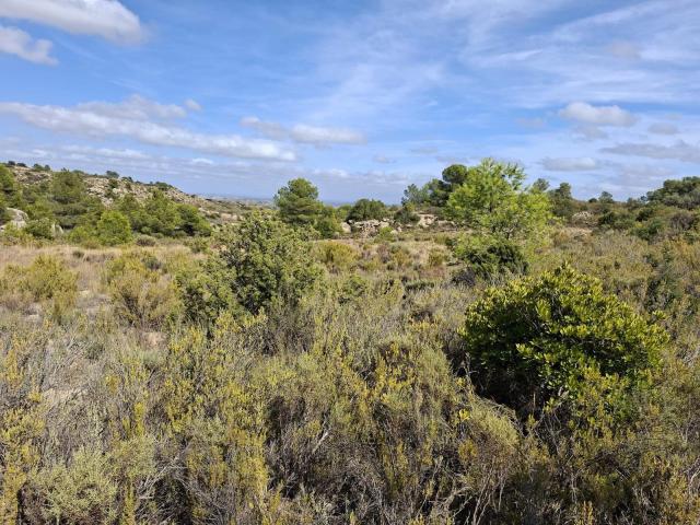 Finca en venta en Bajo Aragón-Caspe / Baix Aragó-Casp, Aragón