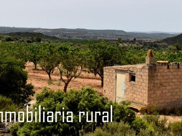 Finca en venta en Bajo Aragón-Caspe / Baix Aragó-Casp, Aragón