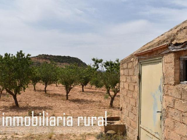 Finca en venta en Bajo Aragón-Caspe / Baix Aragó-Casp, Aragón