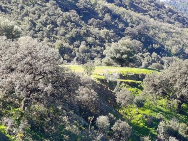 Finca en venta en Este, Málaga-Costa del Sol