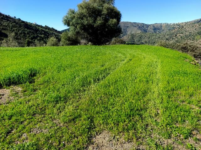 Finca en venta en Este, Málaga-Costa del Sol