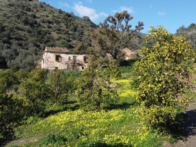 Finca en venta en Pinares de San Antón, Málaga