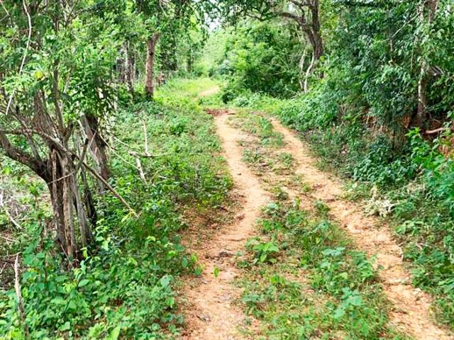 Finca En Venta En Malambo En. V200322
