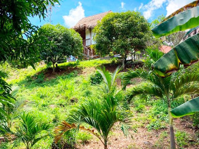 Finca En Venta En Malambo En. V200322