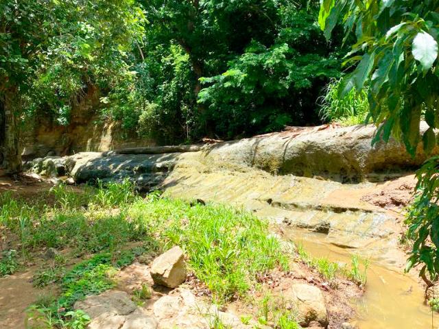Finca En Venta En Malambo En. V200322