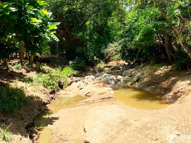 Finca En Venta En Malambo En. V200322