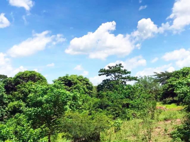 Finca En Venta En Malambo En. V200322