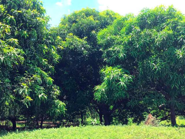 Finca En Venta En Malambo En. V200322