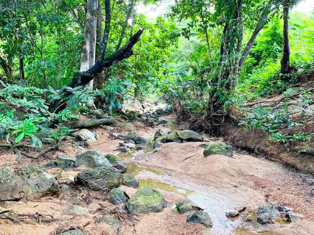 Finca En Venta En Malambo En. V200322