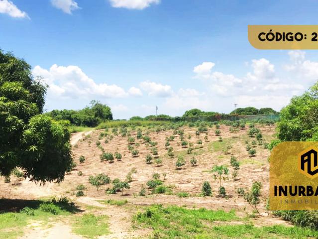 Finca en venta en Santo Tomás, Atlántico