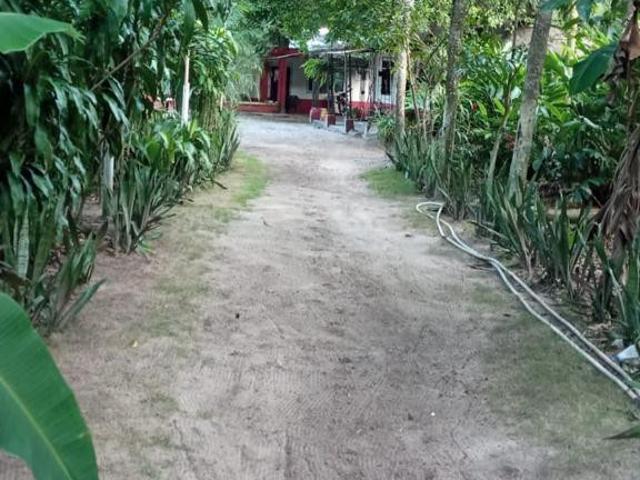 Finca En Venta En Malambo En. V201955