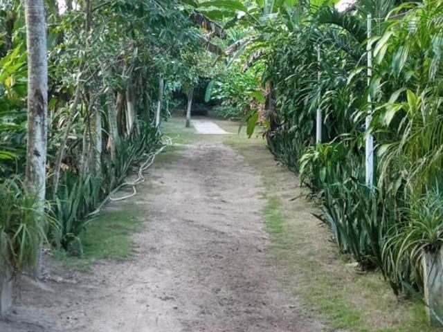 Finca En Venta En Malambo En. V201955