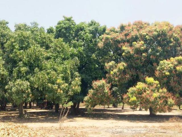 Finca En Venta En Malambo V51845