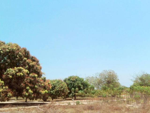 Finca En Venta En Malambo V51845