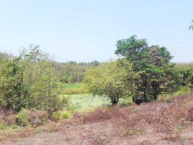 Finca En Venta En Malambo V51845