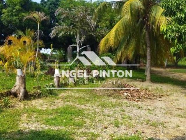 Terreno en venta en Antonio Borjas Romero, Zulia
