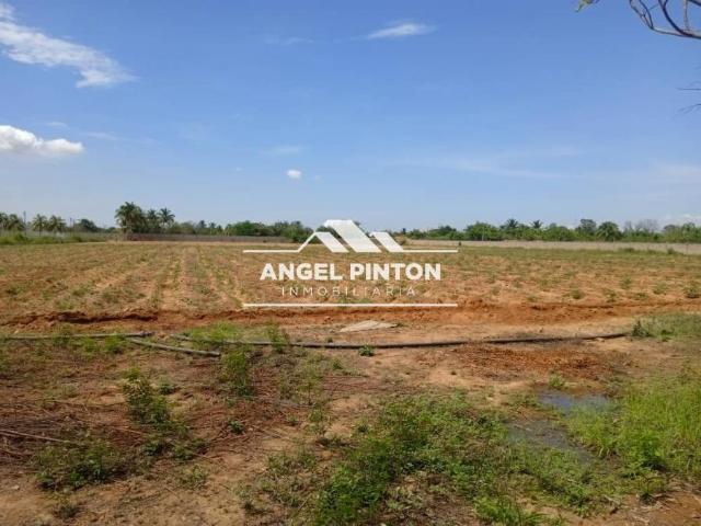 Terreno en venta en Cacique Mara, Maracaibo