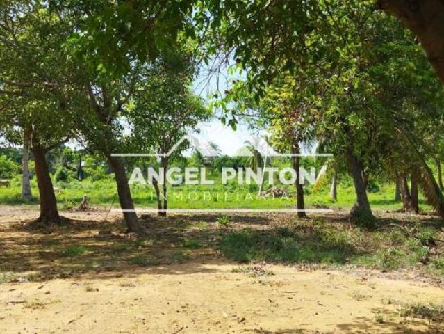Terreno en venta en Cacique Mara, Maracaibo