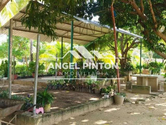 Terreno en venta en Cacique Mara, Maracaibo