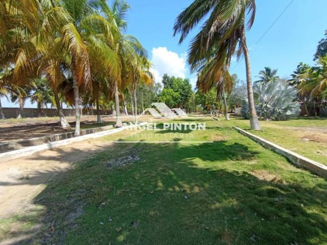 Terreno en venta en Cacique Mara, Maracaibo