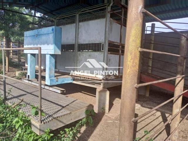 Terreno en venta en Maracaibo, Zulia