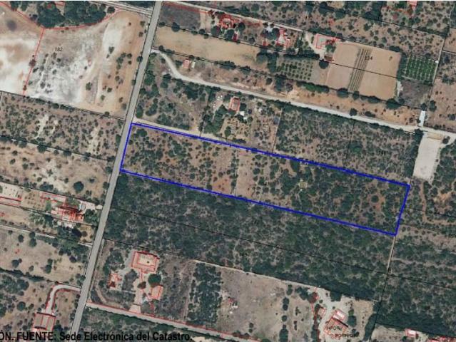 Finca en venta en Marratxí