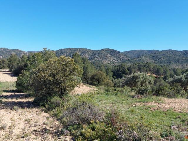 Finca en venta en Bajo Aragón, Aragón