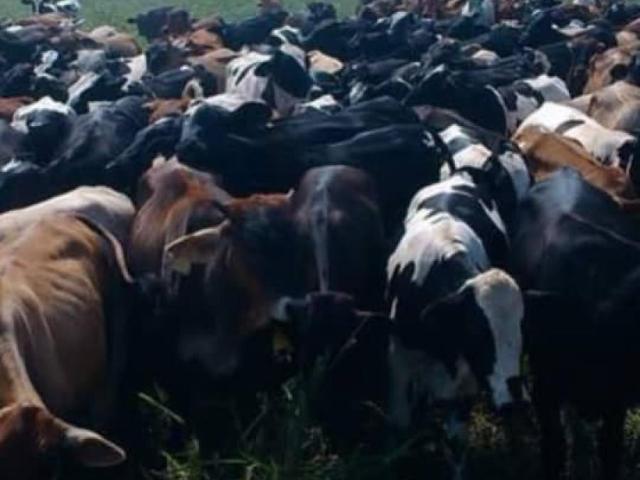 Terreno en venta en Tacarigua De Brion., Miranda