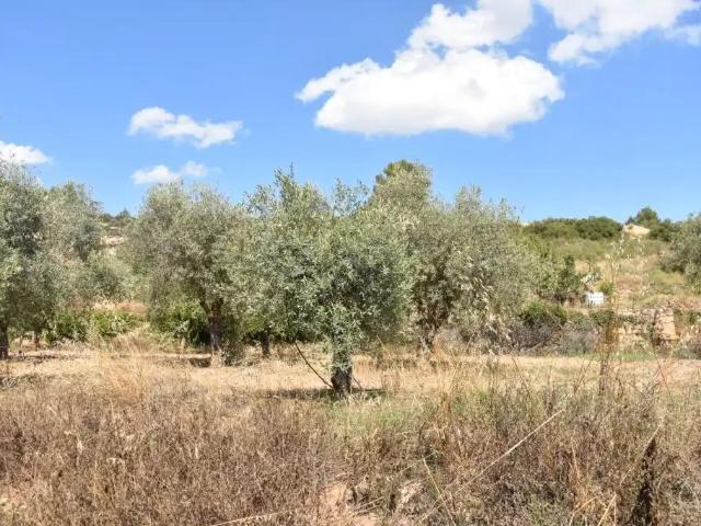 Finca en venta en Matarraña / Matarranya, Mazaleón