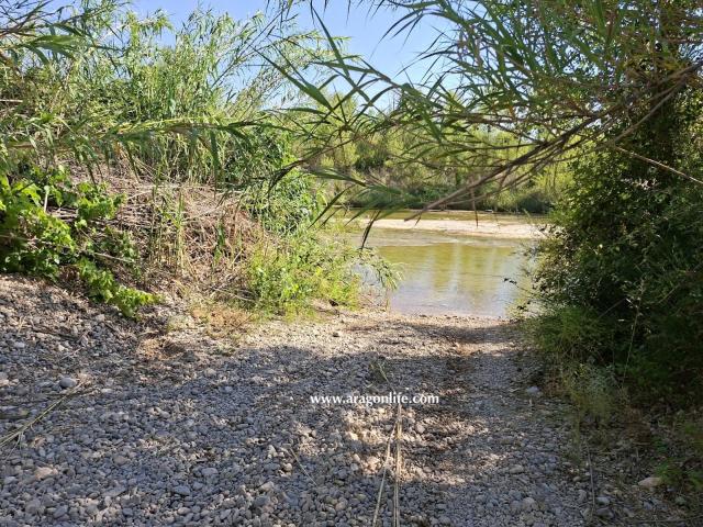 Finca en venta en Matarraña / Matarranya, Mazaleón