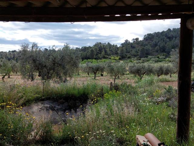 Finca en venta en Matarraña / Matarranya, Mazaleón