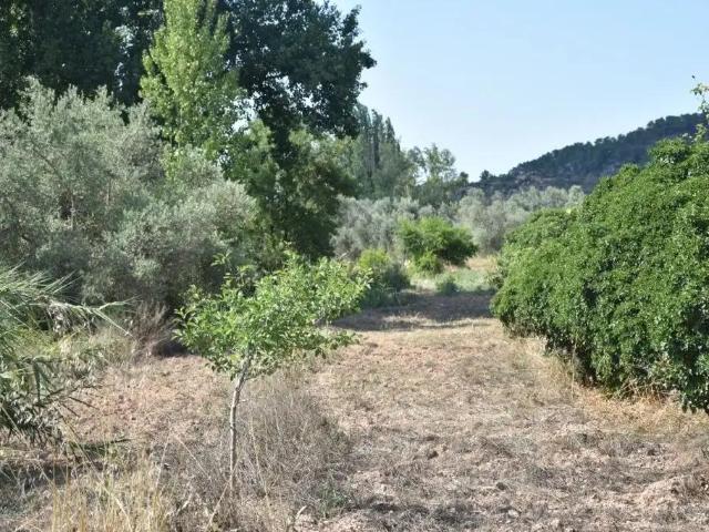 Finca en venta en Matarraña / Matarranya, Mazaleón