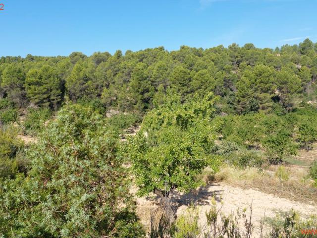 Finca en venta en Matarraña / Matarranya, Mazaleón