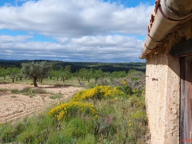 Finca en venta en Matarraña / Matarranya, Mazaleón